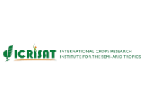 ICRISAT International Crops Research Institute for the Semi-ario Tropics Logo